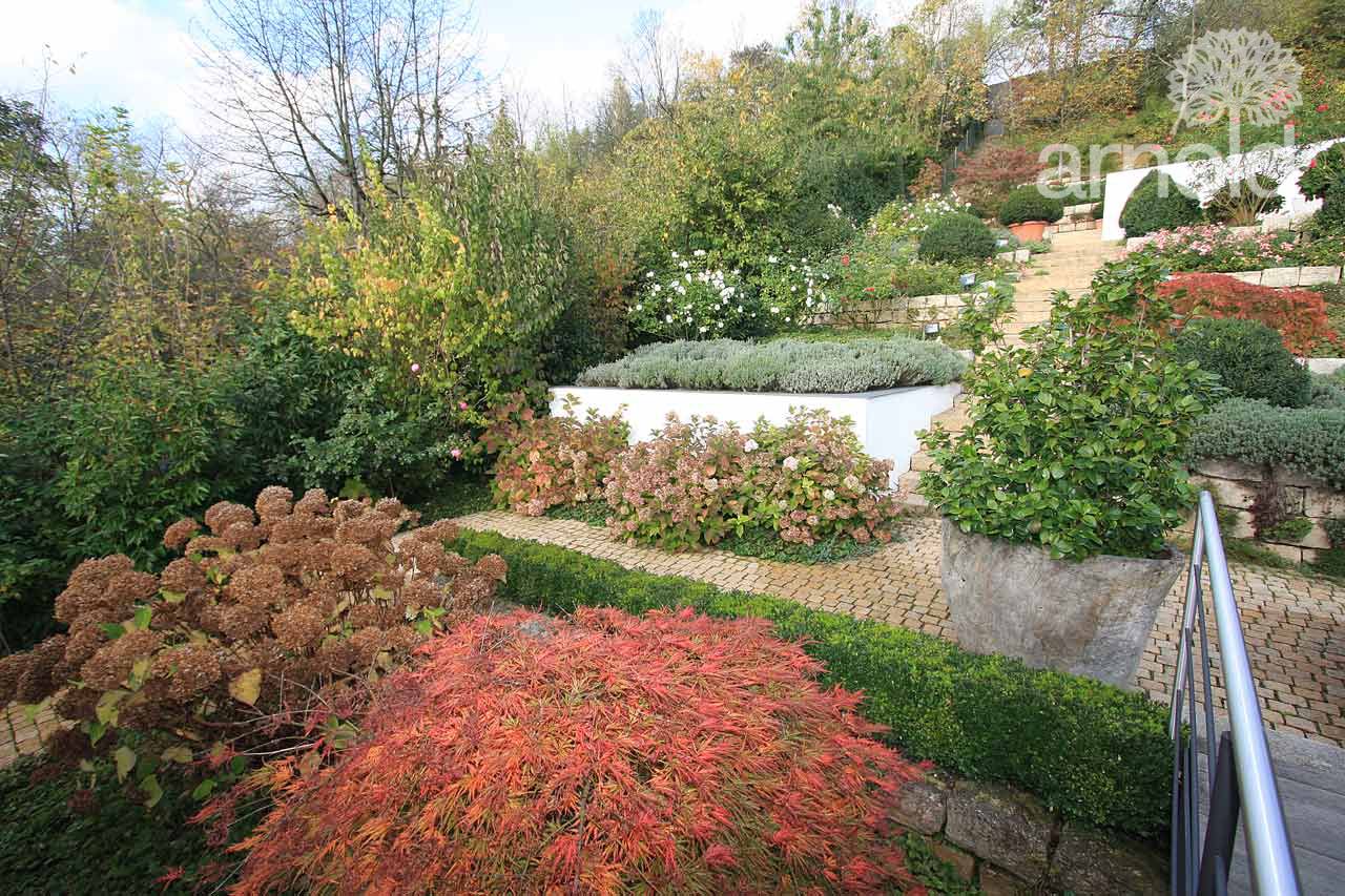 Gartengestalung Ausführung 01