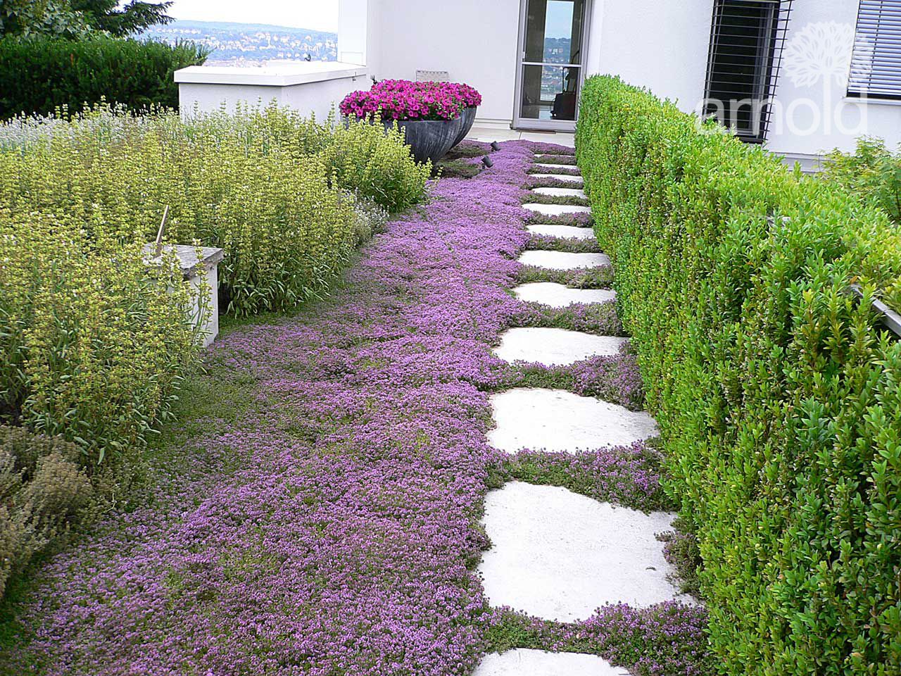 Gartengestalung Ausführung 01