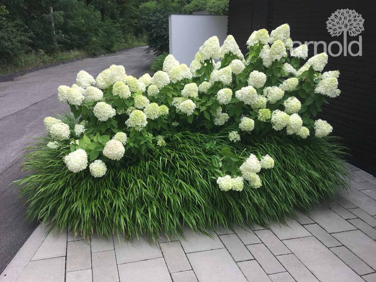 Gartengestalung Ausführung 01