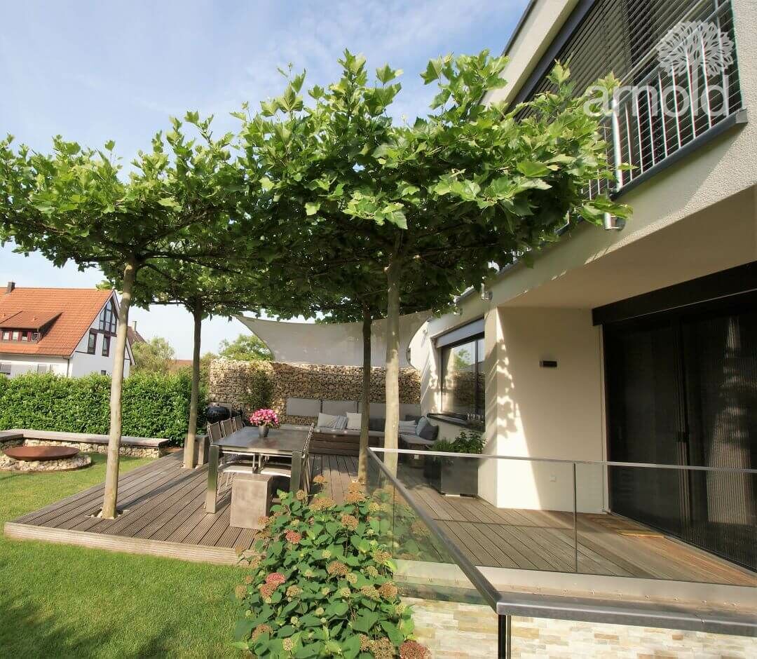 Gartengestaltung Pflanzen