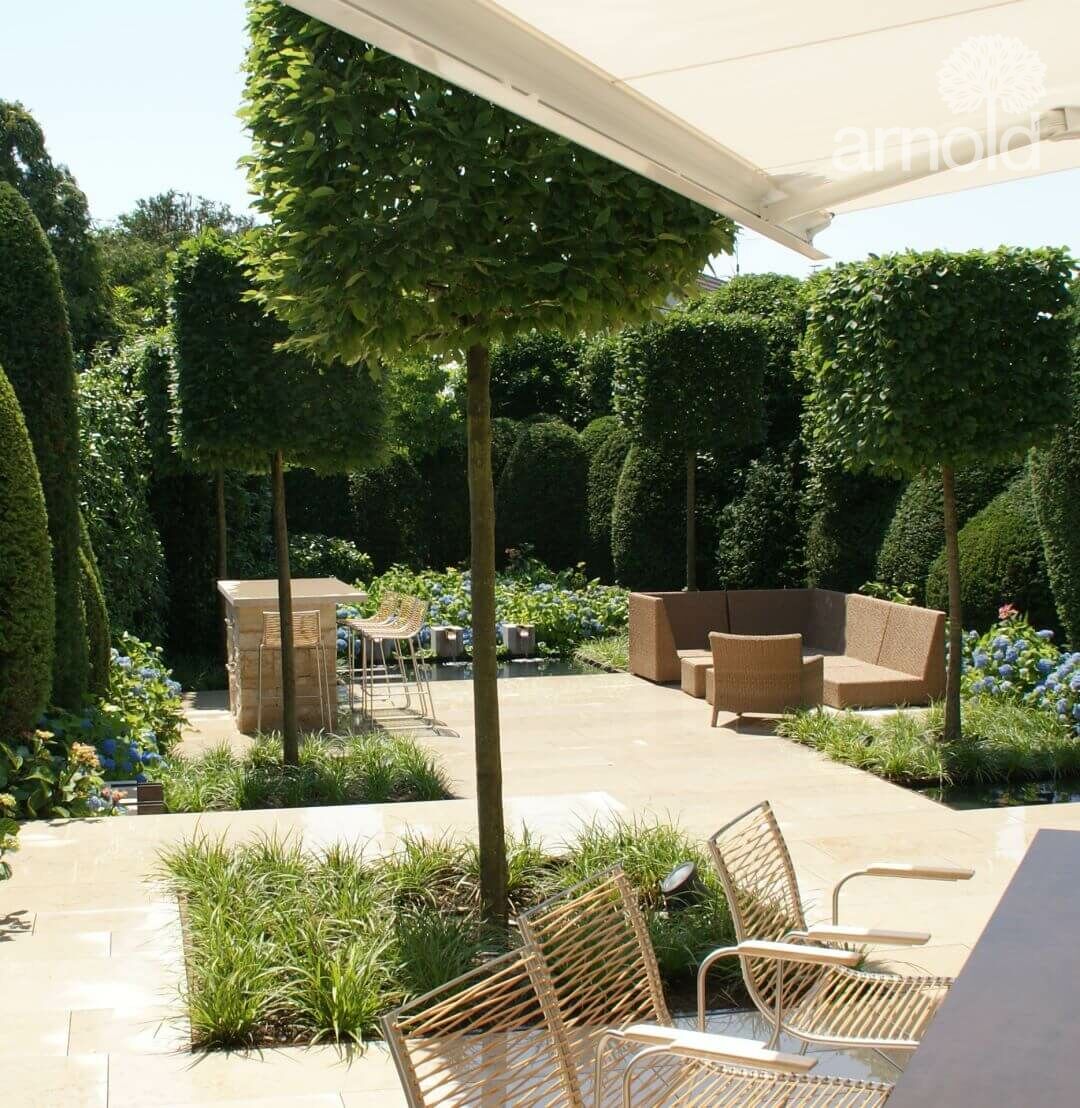 Gartengestaltung Pflanzen