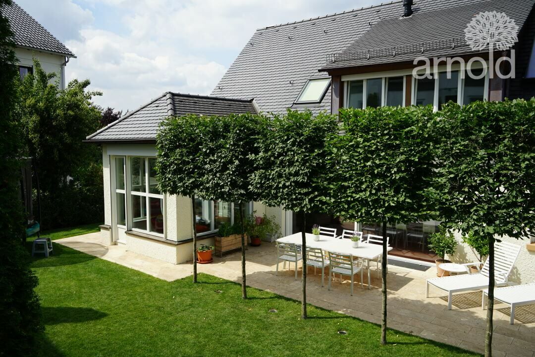 Gartengestaltung Pflanzen