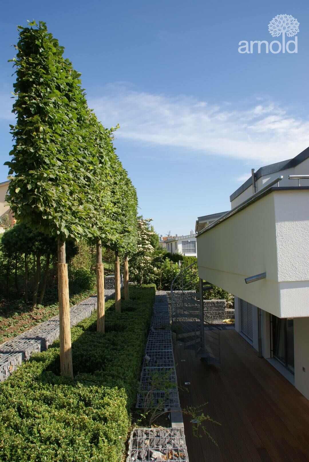 Gartengestaltung Pflanzen