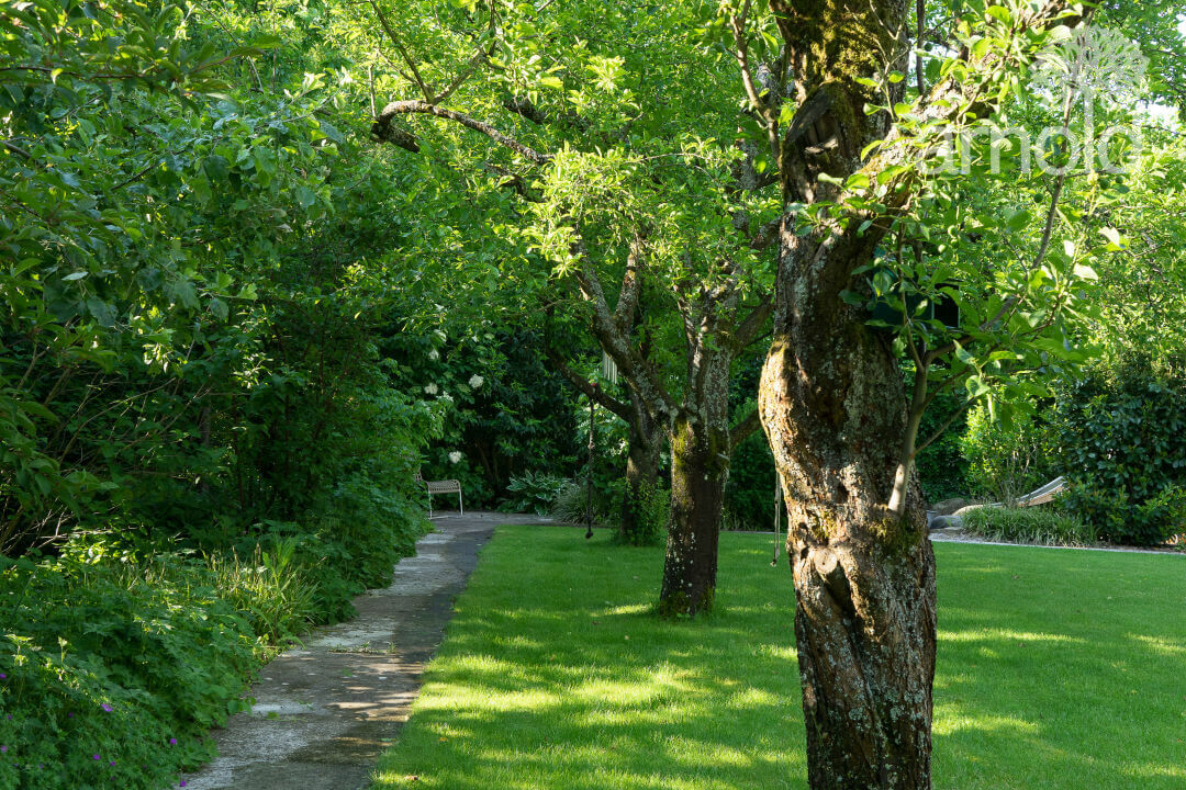 Gartengestaltung Pflanzen
