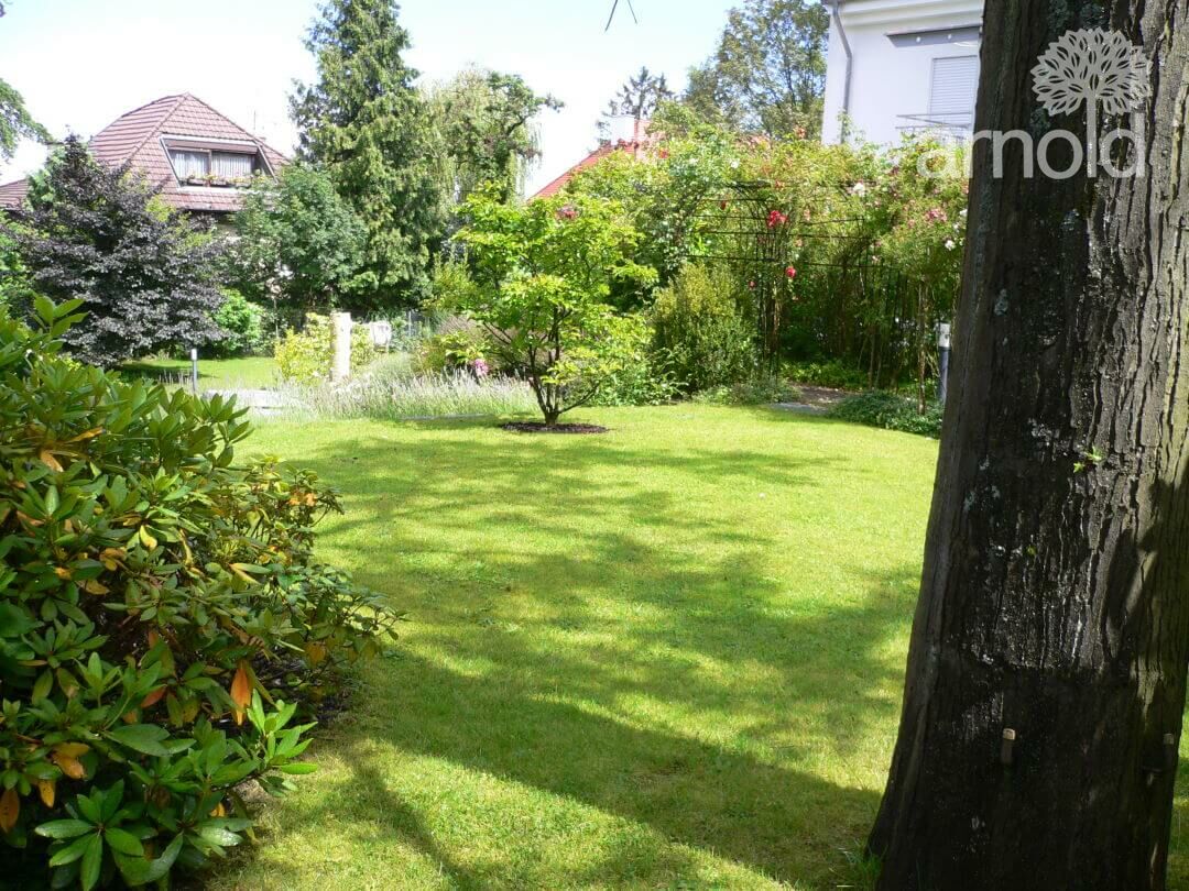 Gartengestaltung Pflanzen
