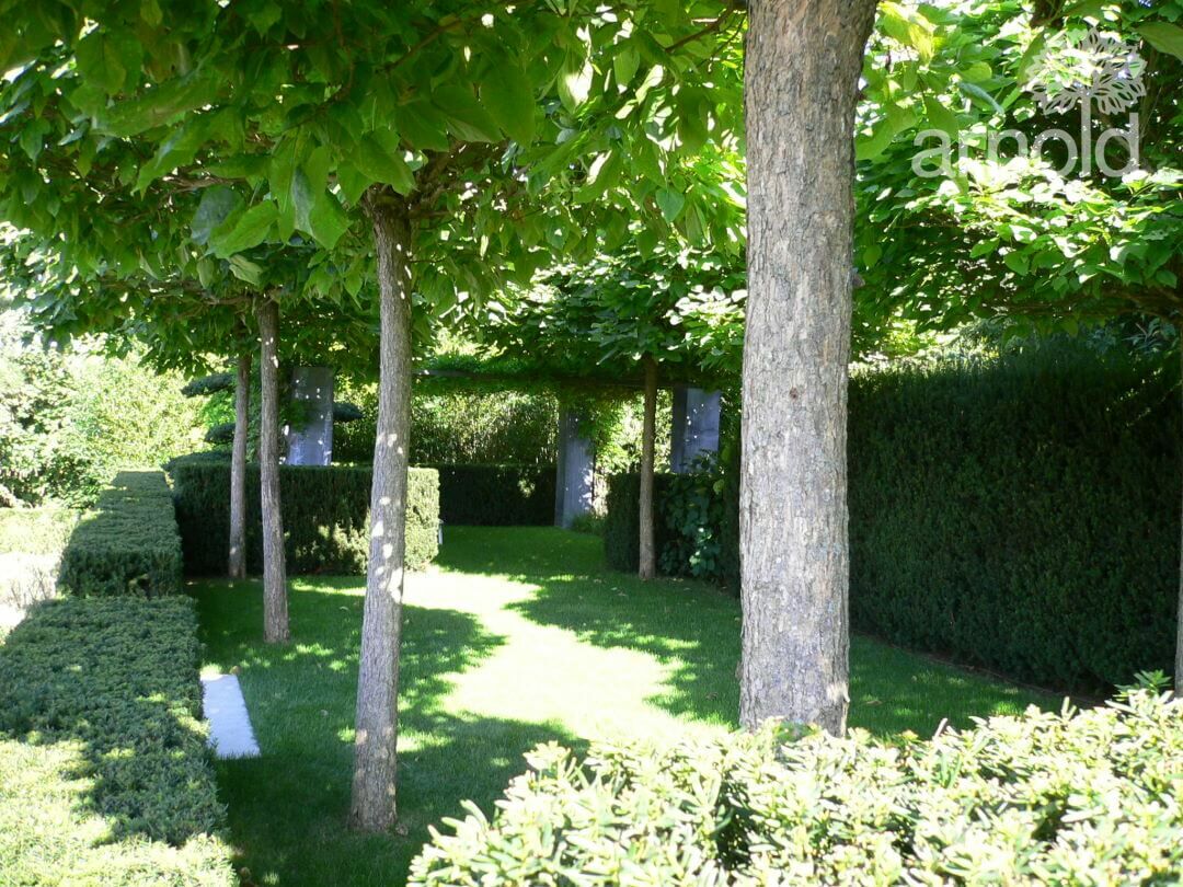 Gartengestaltung Pflanzen