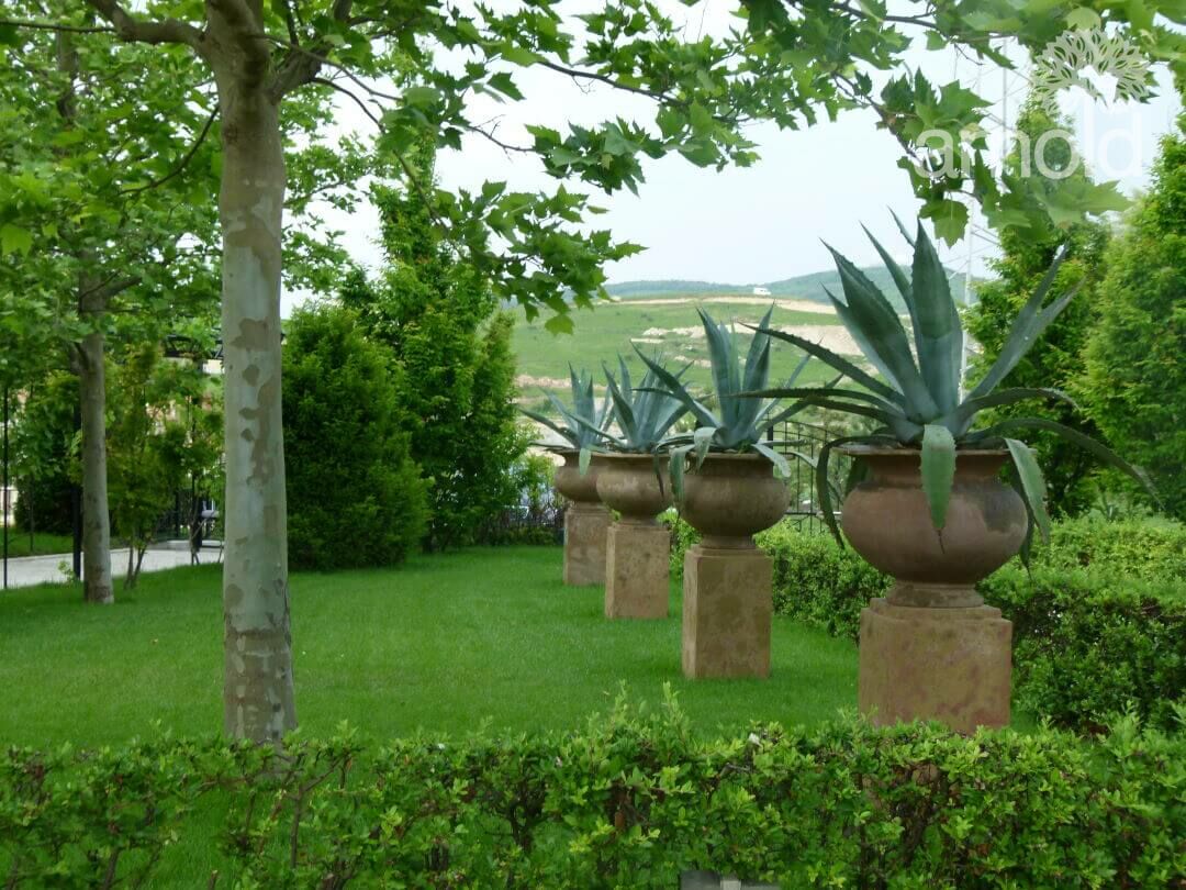 Gartengestaltung Pflanzen