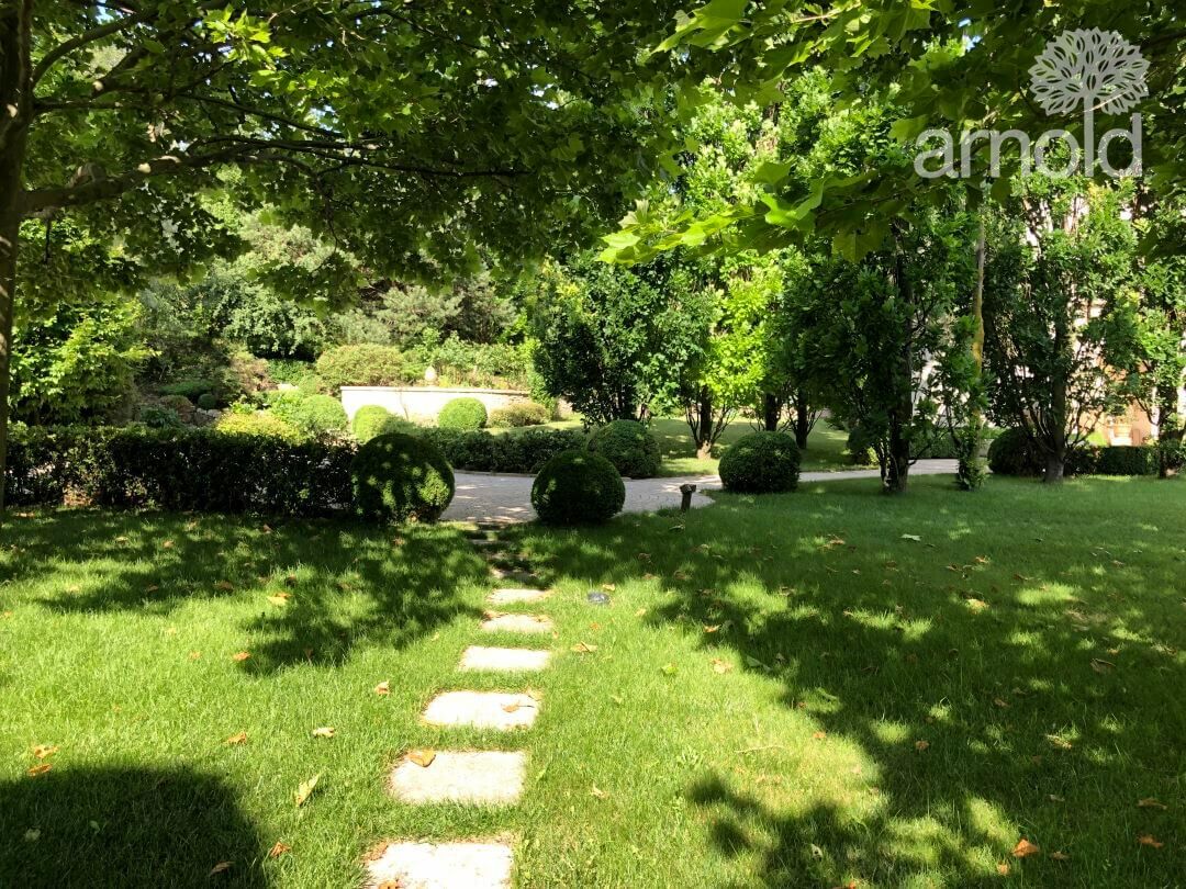 Gartengestaltung Pflanzen