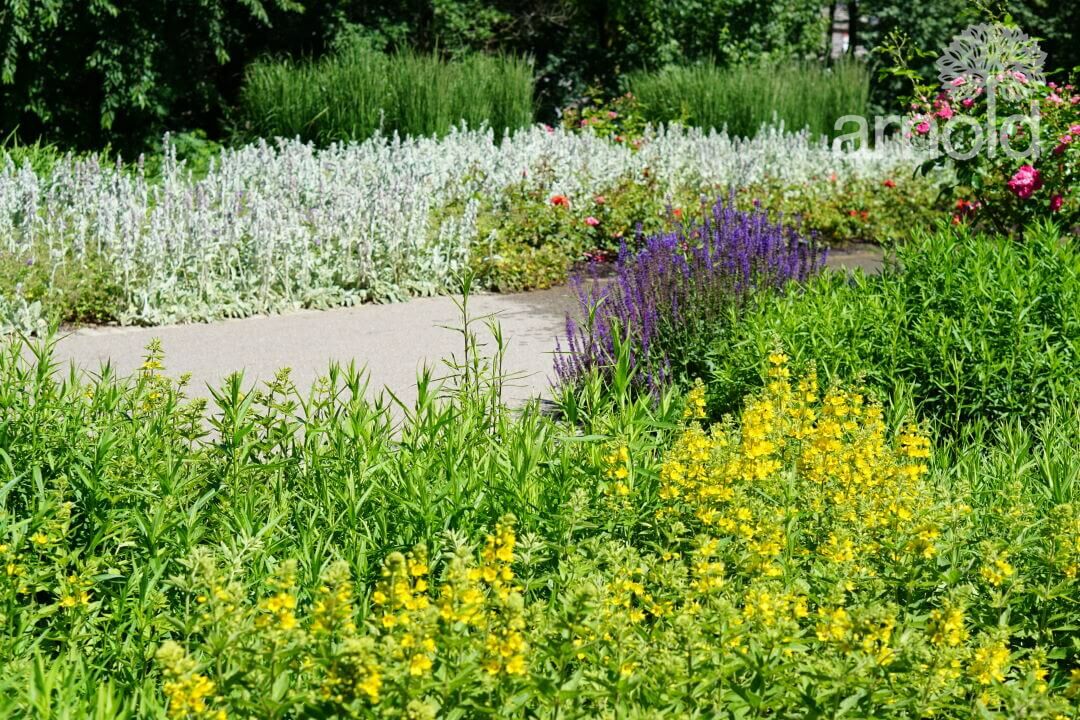 Gartengestaltung Pflege gewerblich