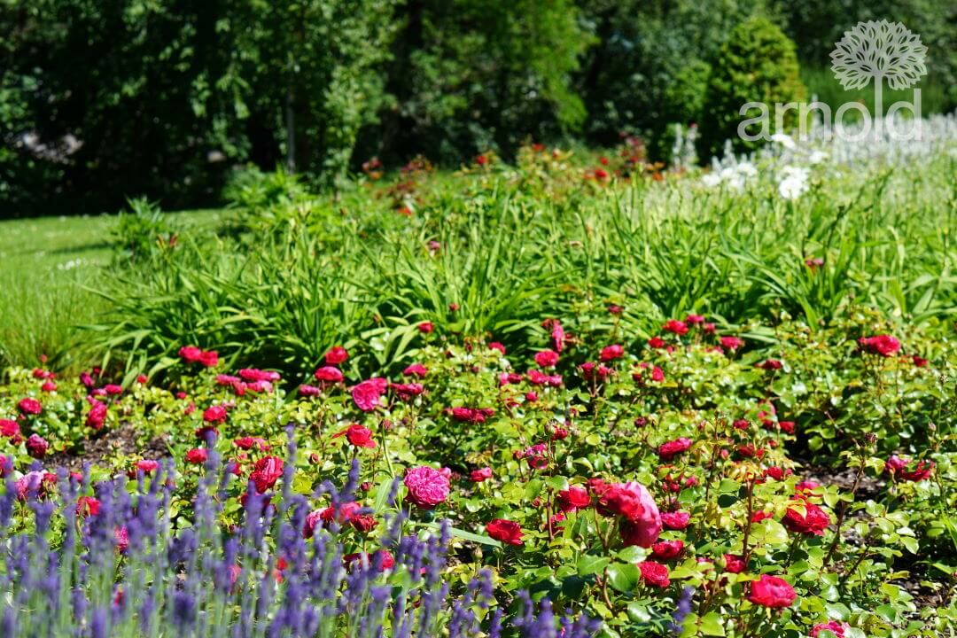 Gartengestaltung Pflege gewerblich