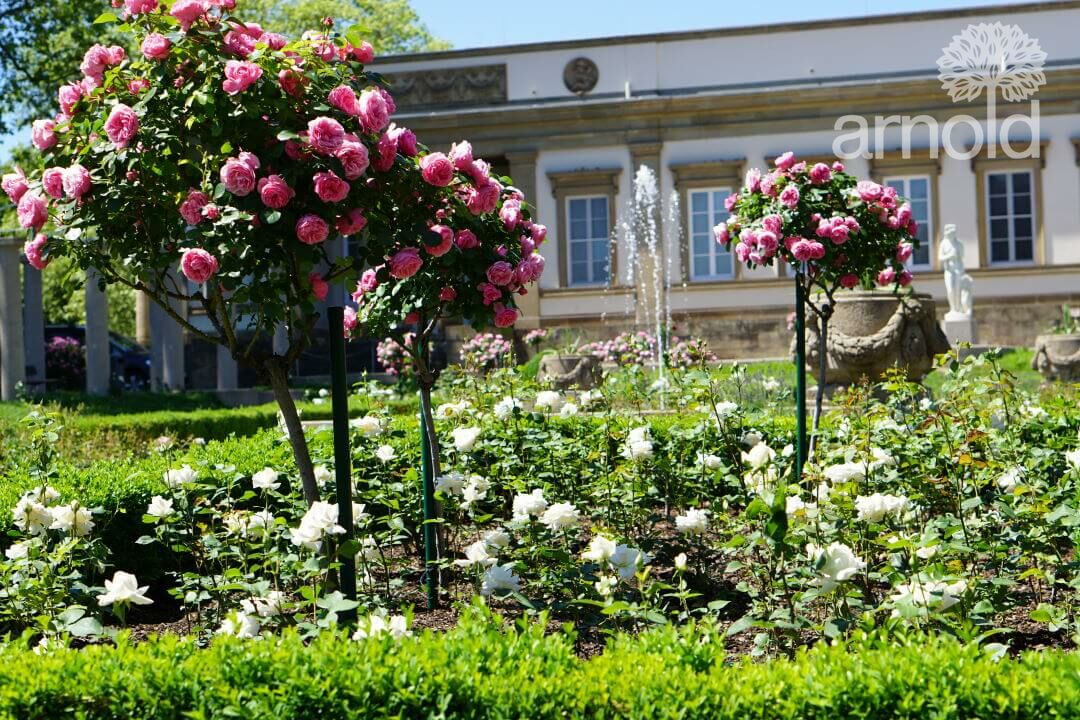 Gartengestaltung Pflege gewerblich