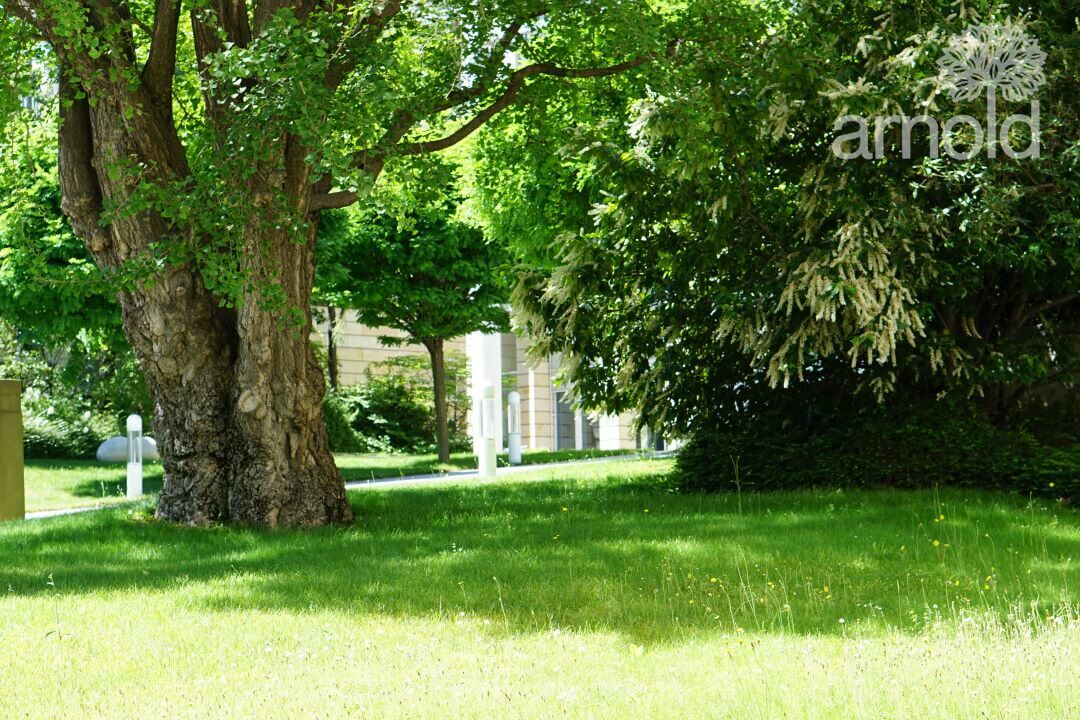 Gartengestaltung Pflege gewerblich