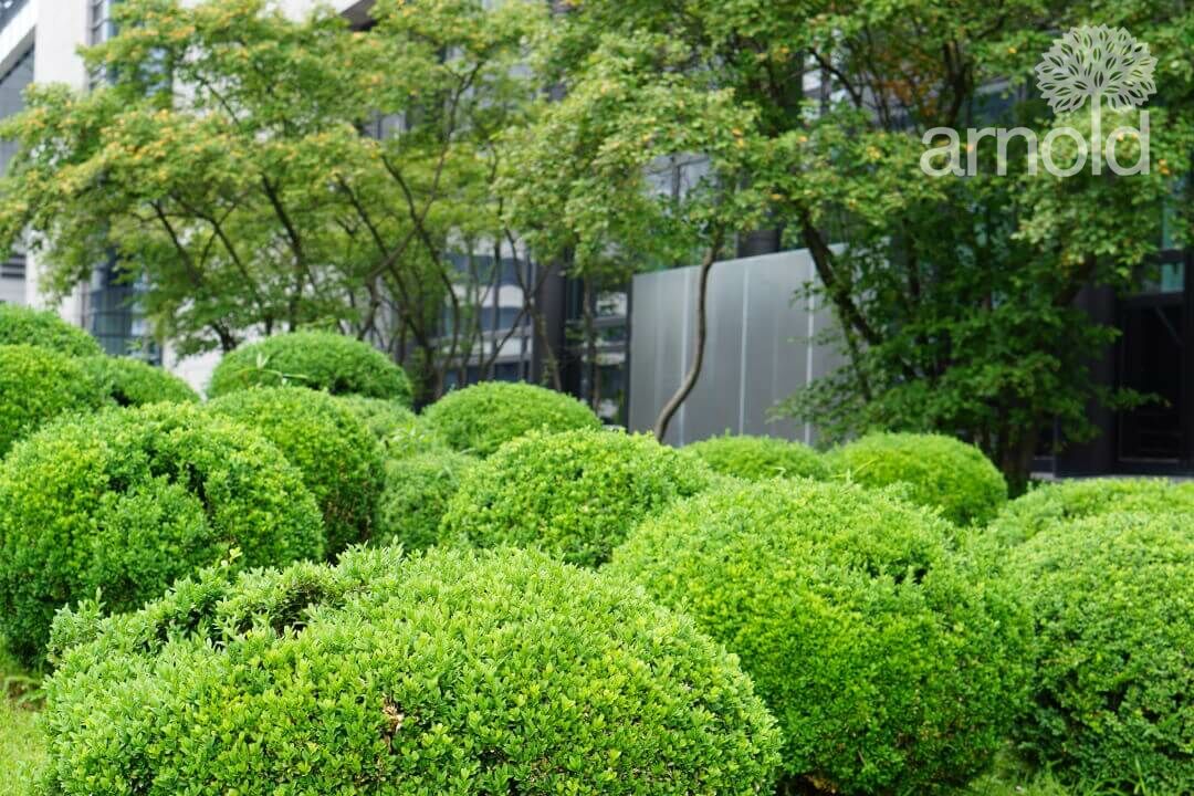 Gartengestaltung Pflege gewerblich