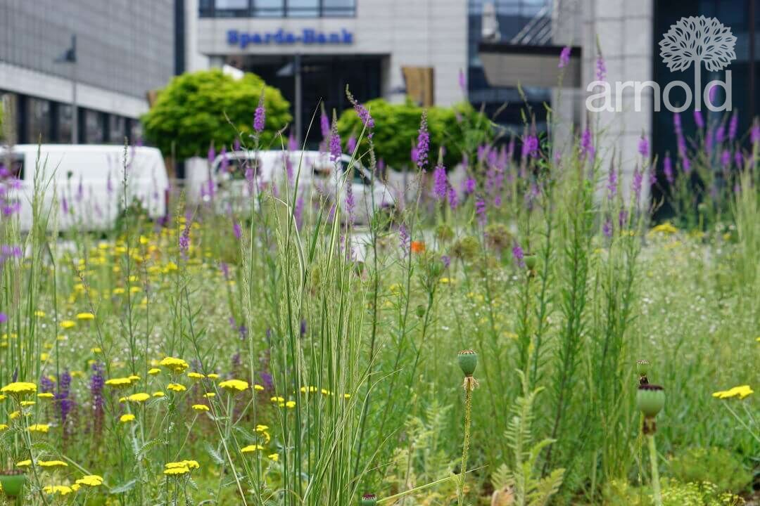 Gartengestaltung Pflege gewerblich