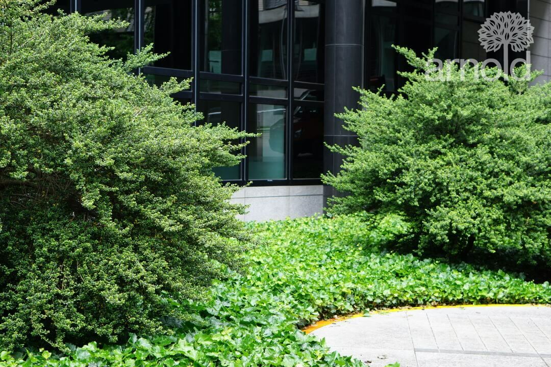 Gartengestaltung Pflege gewerblich