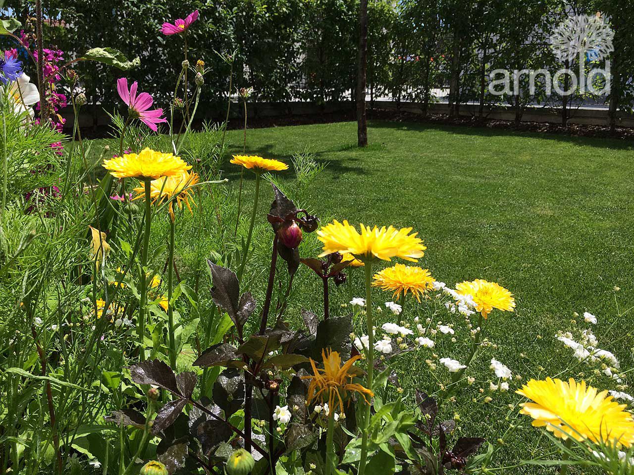 Gartengestaltung Pflege gewerblich 04