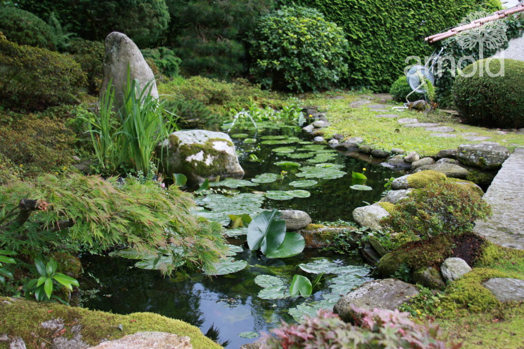 Gartengestaltung Wasser