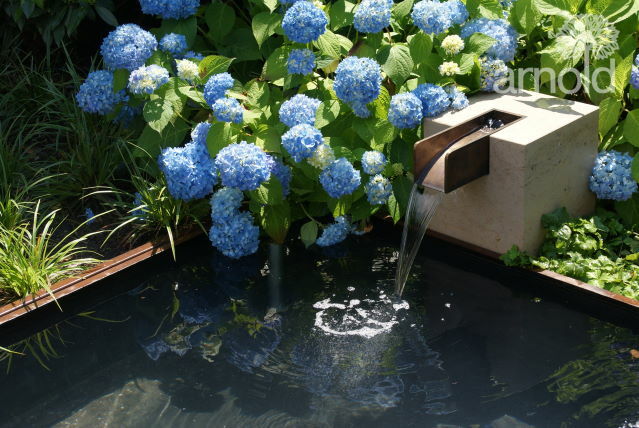 Gartengestaltung Wasser
